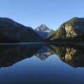 Michael Falk Plansee