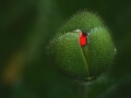 August