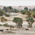 Josef Schwarz Sandy