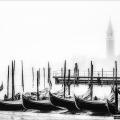 Herbert Haas Venezia
